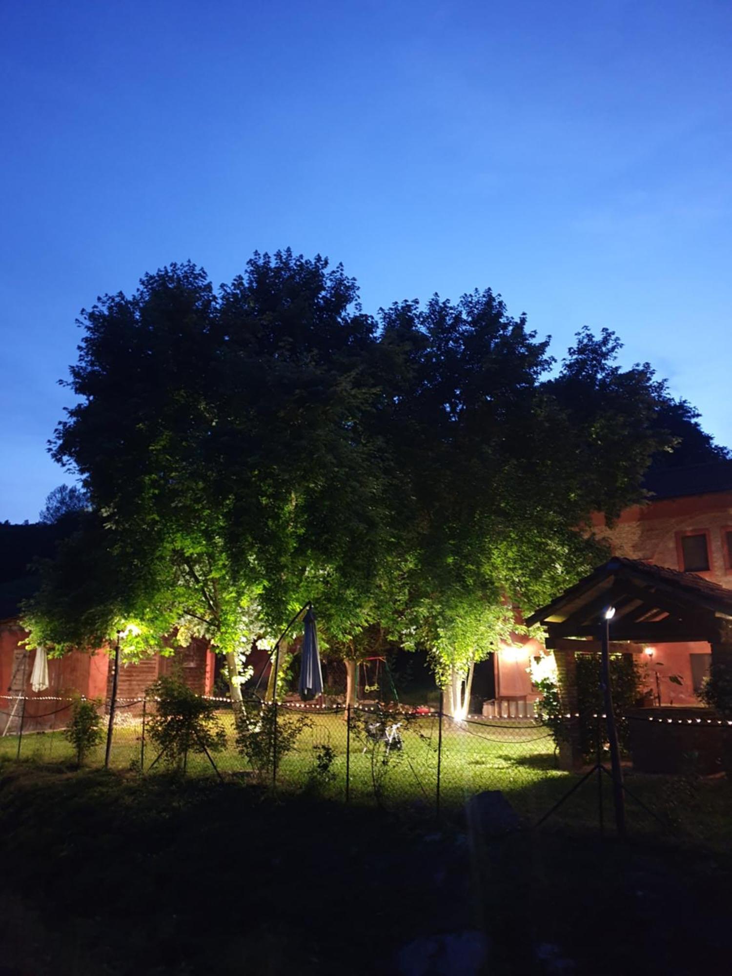 Agriturismo La.Ti.Mi.Da. Cassine Ngoại thất bức ảnh