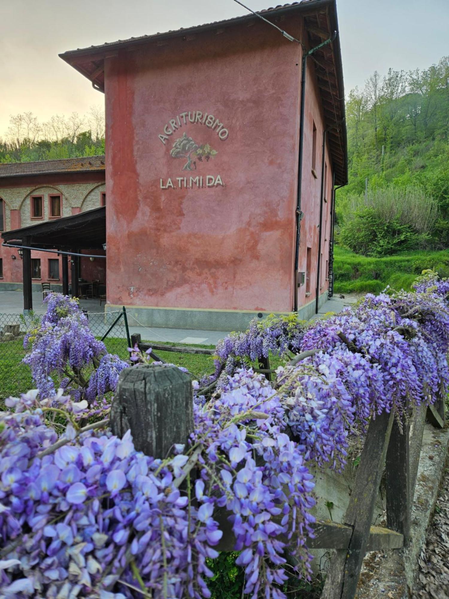 Agriturismo La.Ti.Mi.Da. Cassine Ngoại thất bức ảnh