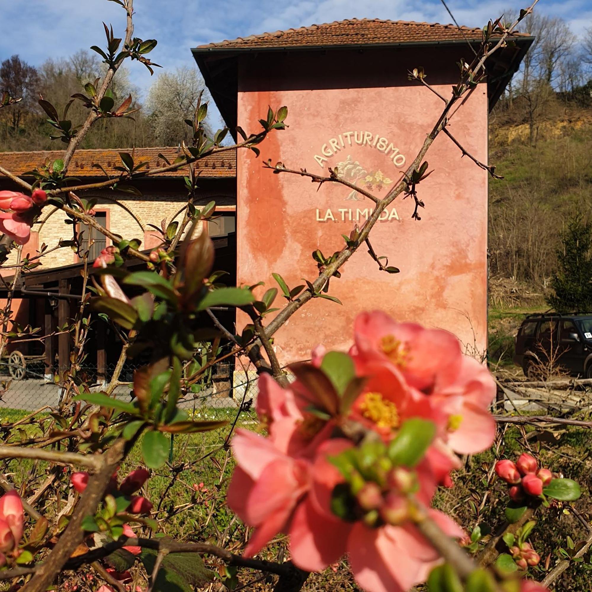 Agriturismo La.Ti.Mi.Da. Cassine Ngoại thất bức ảnh